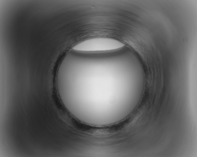 X0000090740303200707201018