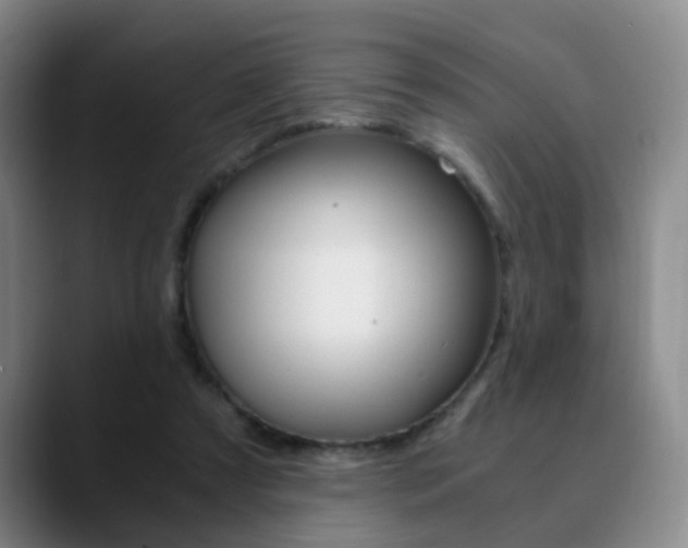 X0000090740305200707201018