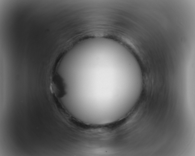 X0000090740307200707201018