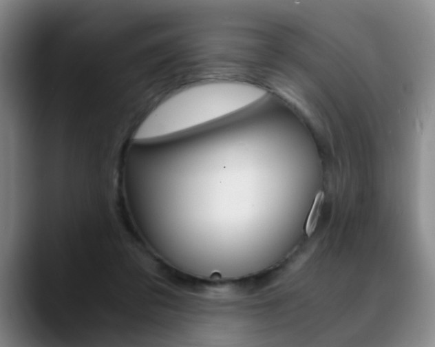 X0000090740309200707201018