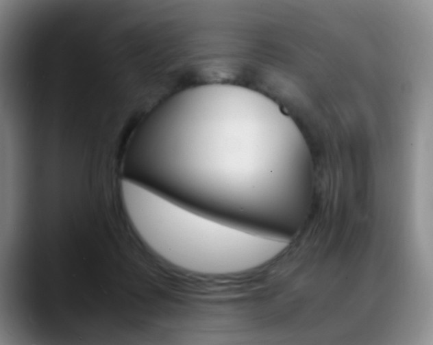 X0000090740315200707201018
