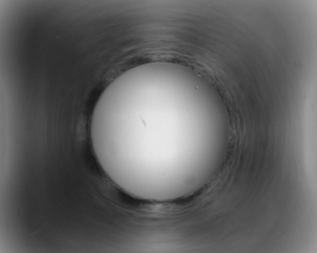 X0000090740323200707201018