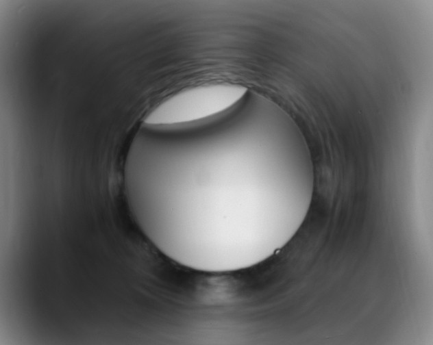 X0000090740324200707201018