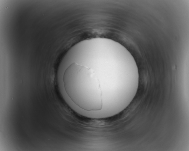 X0000090740328200707201018