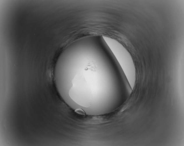 X0000090740329200707201018