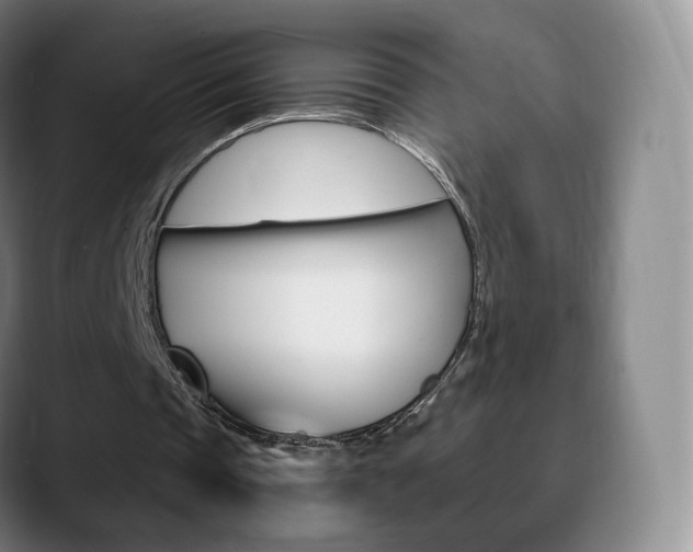 X0000090740337200707201017
