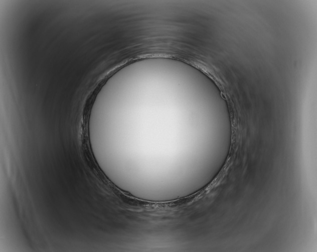 X0000090740338200707201017