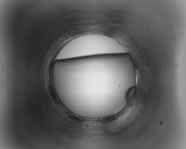 X0000090740339200707201017