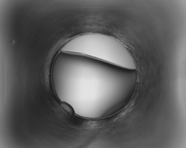 X0000090740341200707201017