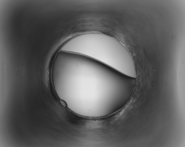 X0000090740342200707201017