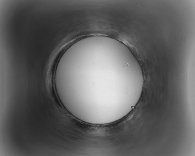 X0000090740343200707201017