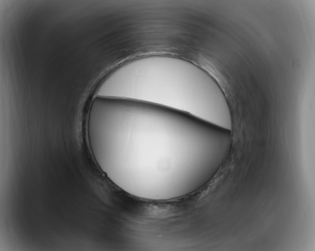 X0000090740346200707201017