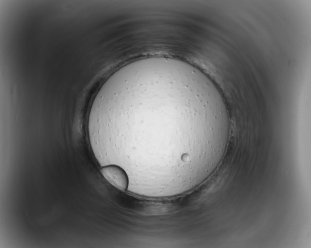 X0000090740347200707201017