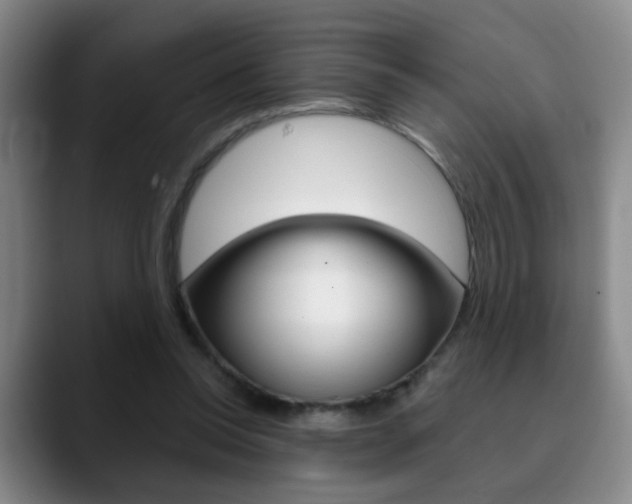 X0000090740350200707201017