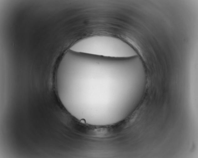 X0000090740353200707201017