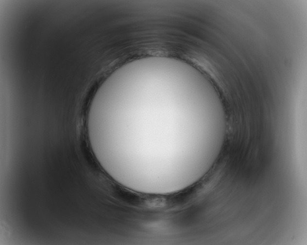 X0000090740355200707201017