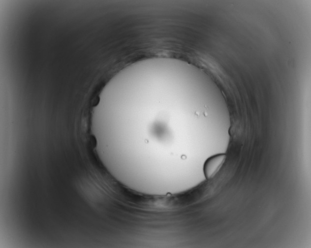 X0000090740365200707201017