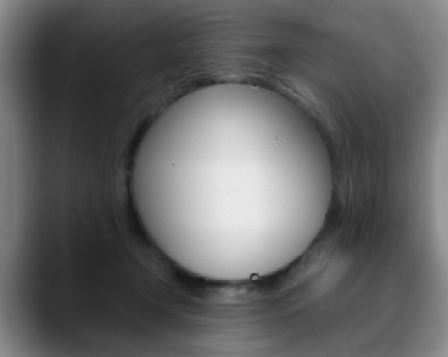 X0000090740366200707201017