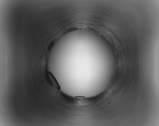 X0000090740372200707201017