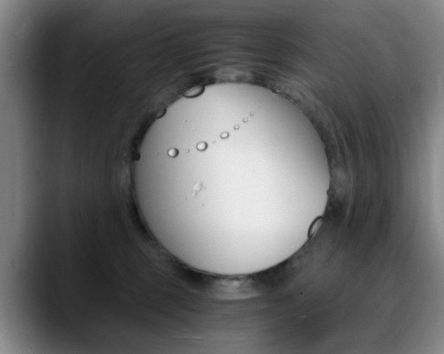 X0000090740375200707201017
