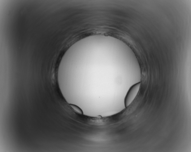 X0000090740381200707201017
