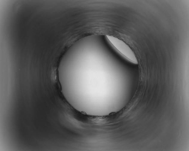 X0000090740383200707201017