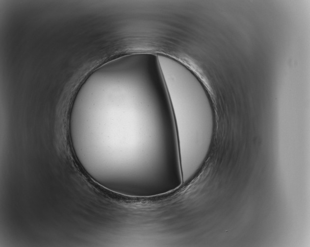 X0000090740385200707201017