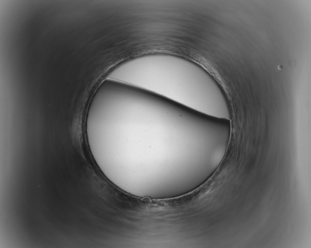 X0000090740386200707201017