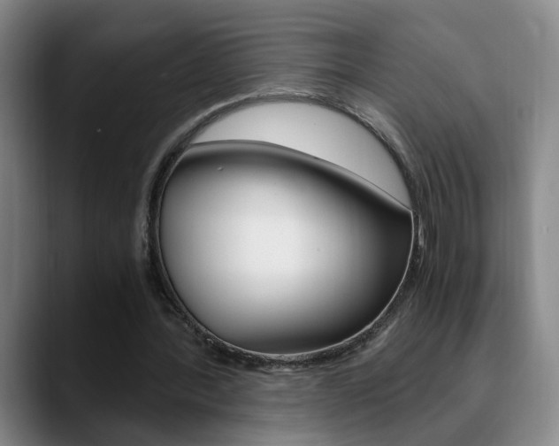 X0000090740388200707201017