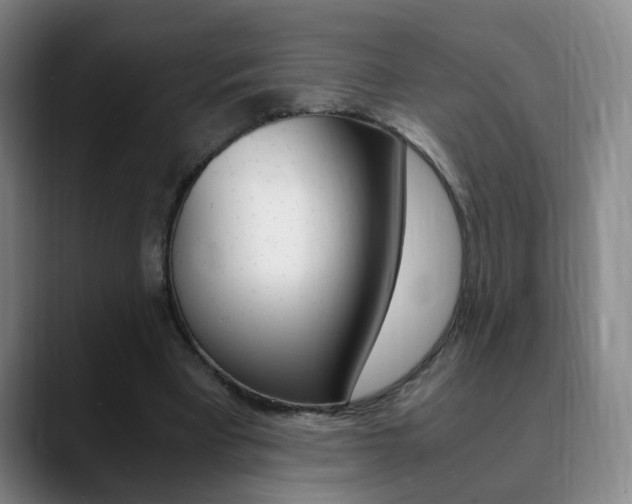 X0000090740393200707201017