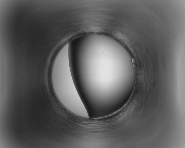 X0000090740395200707201017