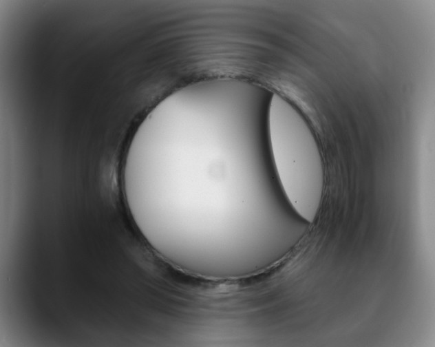 X0000090740398200707201017