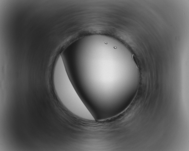 X0000090740399200707201017