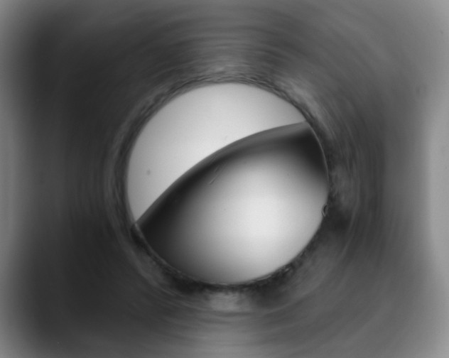 X0000090740400200707201017