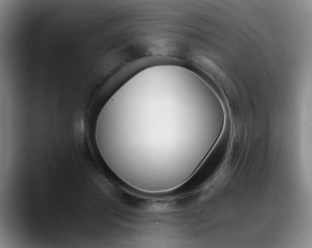 X0000090740405200707201017