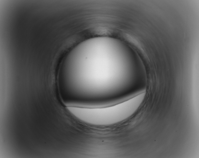 X0000090740407200707201017