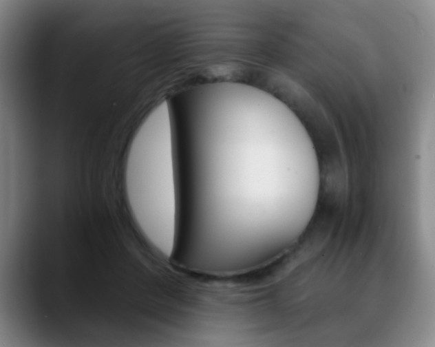 X0000090740408200707201017