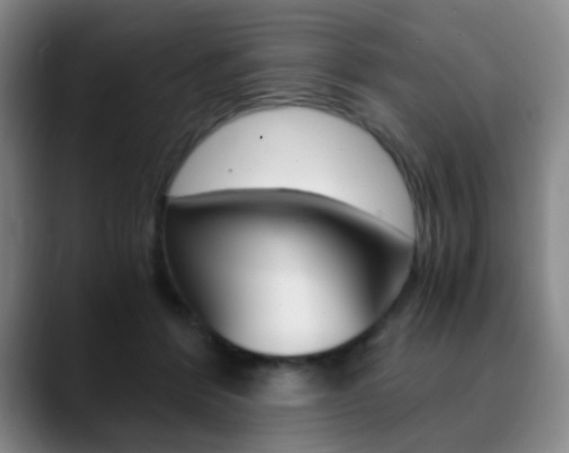 X0000090740412200707201017