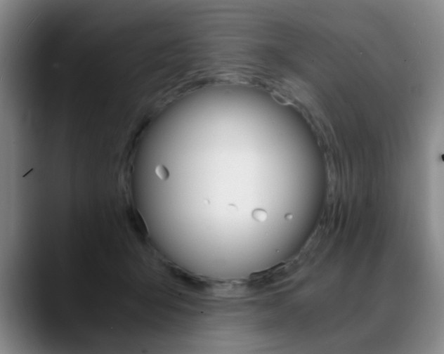 X0000090740415200707201017