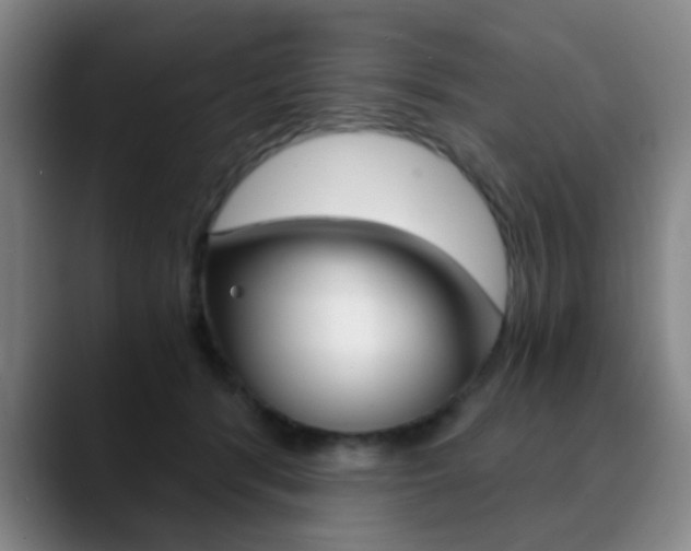 X0000090740416200707201017