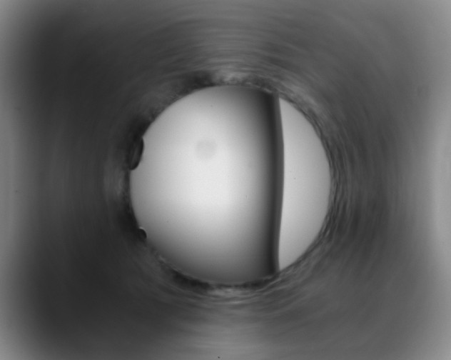 X0000090740417200707201017