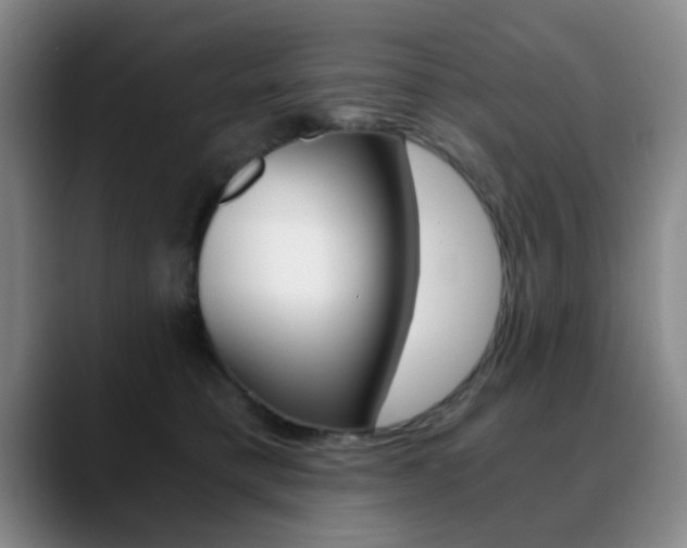 X0000090740421200707201017