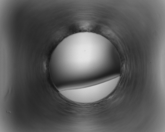 X0000090740424200707201016