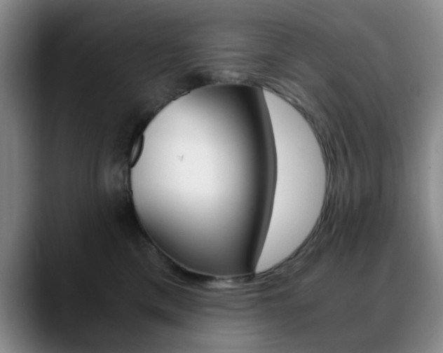 X0000090740425200707201016