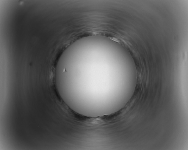 X0000090740427200707201016