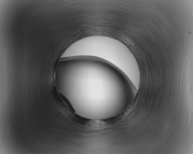 X0000090740429200707201016