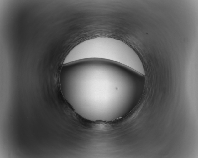 X0000090740432200707201016