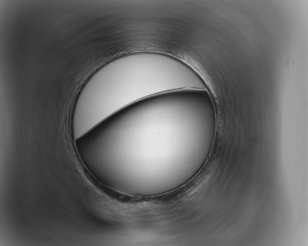 X0000090740433200707201016