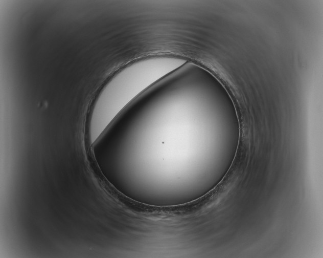 X0000090740434200707201016