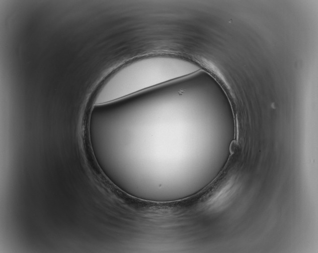 X0000090740435200707201016